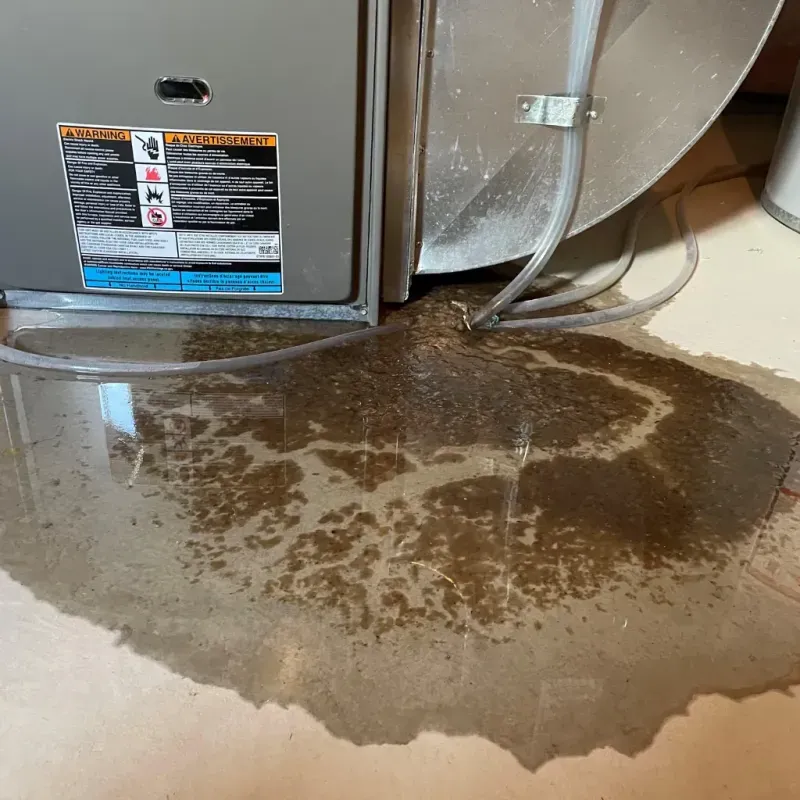 Appliance Leak Cleanup in Walker, LA